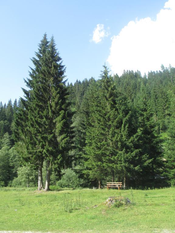 Ferienhaus Schwarzenbacher Lungötz Cameră foto